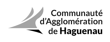 Haguenau uses Konverso as their AI Agent Platform